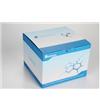 BW3301細胞凋亡試劑盒